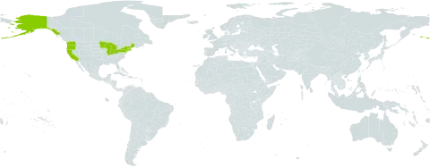 Lathyrus japonicus var. maritimus world distribution map, present in United States of America