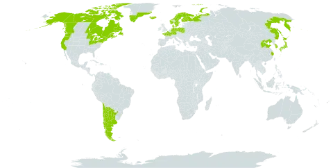 Lathyrus japonicus world distribution map, present in Argentina, Canada, Chile, China, Germany, Denmark, Finland, France, Greenland, Iceland, Japan, Korea (Republic of), Norway, Poland, Russian Federation, Sweden, and United States of America
