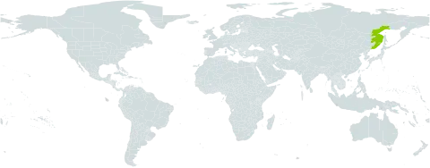 Lathyrus komarovii world distribution map, present in China and Russian Federation