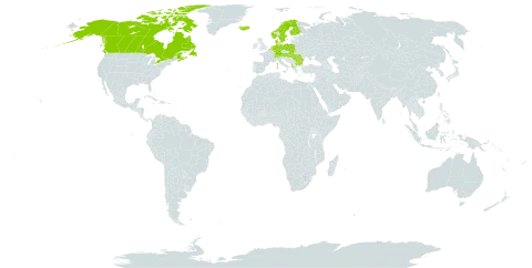 Lathyrus palustris subsp. palustris world distribution map, present in Albania, Austria, Belgium, Bulgaria, Canada, Switzerland, Germany, Denmark, Finland, France, Hungary, Iceland, Netherlands, Norway, Poland, Romania, Slovakia, Sweden, and United States of America