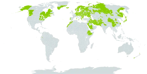 Lathyrus pratensis world distribution map, present in Afghanistan, Albania, Armenia, Austria, Azerbaijan, Belgium, Bulgaria, Belarus, Canada, Switzerland, China, Czech Republic, Germany, Denmark, Ecuador, Estonia, Ethiopia, Finland, France, Faroe Islands, United Kingdom of Great Britain and Northern Ireland, Georgia, Greece, Greenland, Hungary, India, Iran (Islamic Republic of), Iraq, Iceland, Italy, Japan, Kazakhstan, Kyrgyzstan, Lebanon, Lithuania, Latvia, Morocco, Moldova (Republic of), Mongolia, Netherlands, Norway, Nepal, New Zealand, Pakistan, Poland, Portugal, Romania, Russian Federation, Saudi Arabia, Slovakia, Sweden, Tajikistan, Ukraine, United States of America, and Uzbekistan