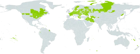 Lathyrus tuberosus world distribution map, present in Albania, Armenia, Austria, Azerbaijan, Belgium, Bulgaria, Belarus, Canada, Switzerland, China, Czech Republic, Germany, Denmark, Ecuador, Estonia, France, Georgia, Greece, Hungary, Iran (Islamic Republic of), Iraq, Kazakhstan, Kyrgyzstan, Lithuania, Latvia, Moldova (Republic of), Mauritius, Netherlands, New Zealand, Poland, Romania, Russian Federation, Slovakia, Sweden, Tajikistan, Turkmenistan, Ukraine, United States of America, and Uzbekistan