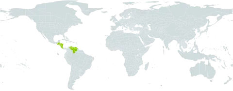Lepanthes acuminata subsp. acuminata world distribution map, present in Belize, Costa Rica, Guatemala, Honduras, Nicaragua, and Venezuela (Bolivarian Republic of)