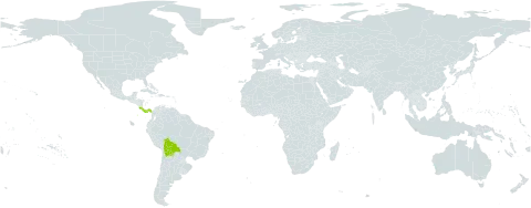 Lepanthes elata world distribution map, present in Bolivia (Plurinational State of), Costa Rica, and Panama