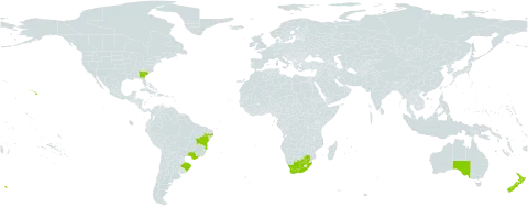 Lepidium bonariense world distribution map, present in Australia, Brazil, New Zealand, United States of America, and South Africa