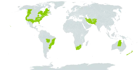 Lepidium didymum world distribution map, present in Afghanistan, Australia, Brazil, Canada, France, Iran (Islamic Republic of), Sri Lanka, New Zealand, Pakistan, United States of America, and South Africa