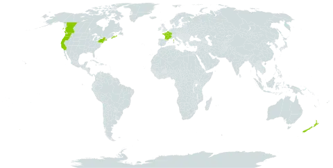 Lepidium heterophyllum world distribution map, present in Canada, France, New Zealand, and United States of America