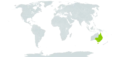 Leptospermum lanigerum world distribution map, present in Australia