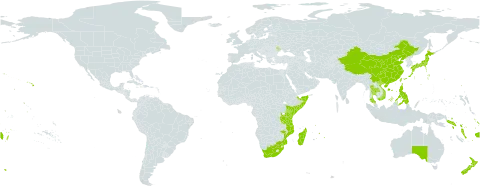 Lepturus repens world distribution map, present in Andorra, Australia, China, Cook Islands, Fiji, Japan, Kenya, Moldova (Republic of), Madagascar, Mozambique, Mauritius, Norfolk Island, Nauru, New Zealand, Pitcairn, Philippines, Réunion, Solomon Islands, Somalia, Thailand, Tokelau, Tonga, Tuvalu, Taiwan, Province of China, Tanzania, United Republic of, United States of America, Viet Nam, Vanuatu, Wallis and Futuna, Samoa, and South Africa