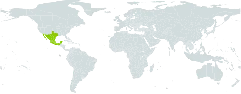 Lespedeza texana world distribution map, present in Mexico and United States of America