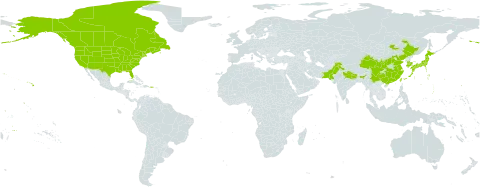 Lespedeza tomentosa world distribution map, present in Canada, China, India, Japan, Korea (Republic of), Mongolia, Nepal, Pakistan, Taiwan, Province of China, and United States of America