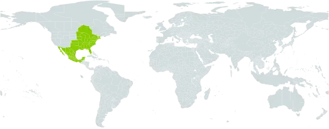 Lespedeza virginica world distribution map, present in Canada, Mexico, and United States of America