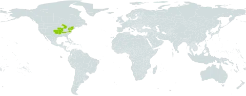 Lespedeza x simulata world distribution map, present in United States of America