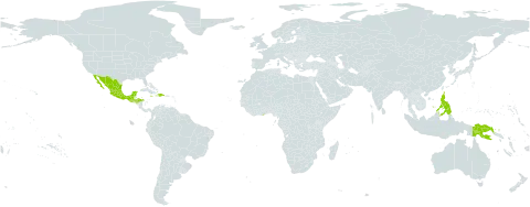 Leucaena spontanea world distribution map, present in Dominican Republic, Ghana, Guatemala, Honduras, Haiti, Jamaica, Mexico, Philippines, and Papua New Guinea