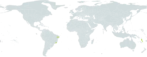 Licuala grandis world distribution map, present in Brazil and Vanuatu