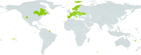 Lilium bulbiferum world distribution map, present in Austria, Canada, Switzerland, Czech Republic, Germany, Spain, France, Hungary, Italy, Netherlands, Norway, Poland, Romania, Sweden, Ukraine, and United States of America