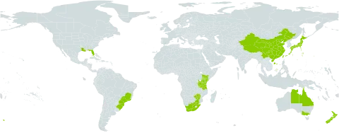 Lilium formosanum world distribution map, present in Australia, Brazil, China, Japan, Kenya, Norfolk Island, New Zealand, Taiwan, Province of China, Tanzania, United Republic of, United States of America, South Africa, and Zimbabwe