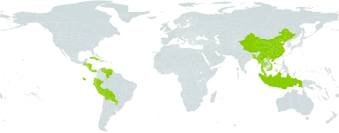 Limnocharis world distribution map, present in Andorra, Bangladesh, Bolivia (Plurinational State of), China, Costa Rica, Cuba, Dominica, Ecuador, Guatemala, Honduras, Haiti, Indonesia, Myanmar, Malaysia, Nicaragua, Panama, Peru, Paraguay, Thailand, Venezuela (Bolivarian Republic of), and Viet Nam