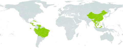 Limnocharis flava world distribution map, present in Andorra, Bangladesh, Bolivia (Plurinational State of), Brazil, China, Costa Rica, Cuba, Dominica, Ecuador, Guatemala, Honduras, Haiti, Indonesia, Iceland, Myanmar, Malaysia, Nicaragua, Panama, Peru, Paraguay, Thailand, Venezuela (Bolivarian Republic of), and Viet Nam