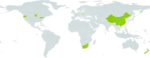 Linaria genistifolia world distribution map, present in China, New Zealand, Slovakia, United States of America, and South Africa