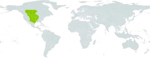 Linum rigidum world distribution map, present in Canada and United States of America