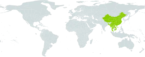 Lithocarpus xylocarpus world distribution map, present in Bangladesh, China, Lao People's Democratic Republic, Myanmar, Thailand, and Viet Nam