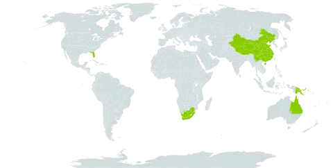 Lomariopsis world distribution map, present in American Samoa, Australia, China, British Indian Ocean Territory, Papua New Guinea, Uganda, United States of America, and South Africa