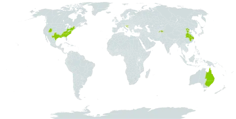Lonicera fragrantissima world distribution map, present in Australia, China, Croatia, Tajikistan, and United States of America