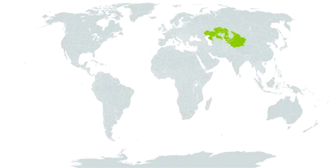 Lonicera humilis world distribution map, present in China, Kazakhstan, and Kyrgyzstan