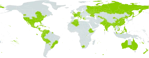 Lonicera japonica world distribution map, present in Argentina, Australia, Bonaire, Sint Eustatius and Saba, Bangladesh, Bolivia (Plurinational State of), Brazil, Canada, Switzerland, China, Cook Islands, Colombia, Costa Rica, Cuba, Cayman Islands, Germany, Dominican Republic, Algeria, Ecuador, Spain, Ethiopia, Fiji, France, United Kingdom of Great Britain and Northern Ireland, Guadeloupe, Greece, Honduras, Croatia, Haiti, India, Italy, Jamaica, Japan, Mexico, Malta, Myanmar, Martinique, Mauritius, Malaysia, Nicaragua, Niue, Nepal, New Zealand, Pakistan, Panama, Peru, Philippines, Puerto Rico, Korea (Democratic People's Republic of), Portugal, Réunion, Russian Federation, Rwanda, Tajikistan, Trinidad and Tobago, Taiwan, Province of China, Uruguay, United States of America, Uzbekistan, Venezuela (Bolivarian Republic of), Viet Nam, and South Africa