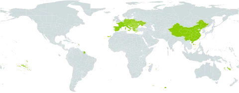 Lonicera nigra world distribution map, present in Albania, Andorra, Austria, Bulgaria, Bosnia and Herzegovina, Switzerland, China, Czech Republic, Germany, Spain, France, Greece, Croatia, Hungary, Italy, Liechtenstein, North Macedonia, Montenegro, Poland, Romania, Serbia, Slovakia, Slovenia, and Ukraine