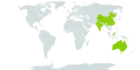 Lophopetalum world distribution map, present in Australia, China, Indonesia, India, and Malaysia