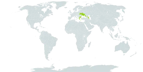 Lotus graecus world distribution map, present in Azerbaijan, Bulgaria, Georgia, Greece, Russian Federation, and Ukraine