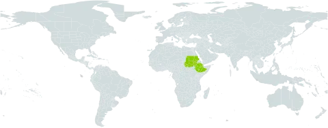 Lotus hebecarpus world distribution map, present in Djibouti, Ethiopia, and Sudan