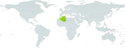 Lotus subbiflorus world distribution map, present in Algeria, Spain, France, Italy, Portugal, and United States of America