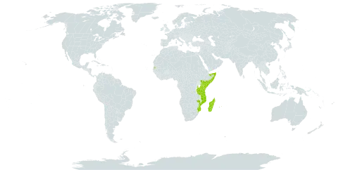 Ludwigia jussiaeoides world distribution map, present in Comoros, Kenya, Madagascar, Mozambique, Mauritius, Réunion, Somalia, Seychelles, and Tanzania, United Republic of