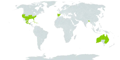 Ludwigia repens world distribution map, present in Australia, Bangladesh, Bahamas, Cuba, Dominican Republic, Spain, Jamaica, Mexico, Puerto Rico, and United States of America