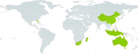 Lumnitzera world distribution map, present in Australia, China, Indonesia, Madagascar, Malaysia, United States of America, and South Africa
