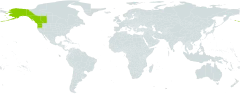 Lupinus arcticus subsp. subalpinus world distribution map, present in Canada and United States of America