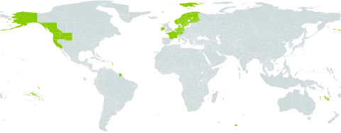 Lysichiton americanus world distribution map, present in Canada, Switzerland, Germany, Denmark, Finland, France, Ireland, Netherlands, Norway, Sweden, and United States of America