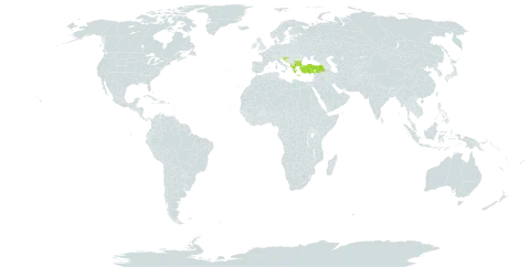 Lysimachia atropurpurea world distribution map, present in Albania, Bulgaria, Greece, Croatia, North Macedonia, Serbia, and Turkey