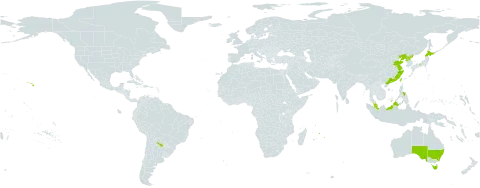 Lysimachia mauritiana world distribution map, present in Argentina, Australia, China, Guam, Japan, Northern Mariana Islands, Mauritius, Malaysia, Philippines, Korea (Democratic People's Republic of), Réunion, Taiwan, Province of China, and United States of America