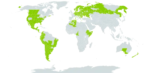 Lysimachia minima world distribution map, present in Albania, Argentina, Australia, Austria, Belgium, Bulgaria, Belarus, Bolivia (Plurinational State of), Brazil, Canada, Switzerland, Chile, Cameroon, Colombia, Costa Rica, Czech Republic, Germany, Denmark, Algeria, Ecuador, Spain, Estonia, Ethiopia, Finland, France, United Kingdom of Great Britain and Northern Ireland, Greece, Guatemala, Honduras, Croatia, Hungary, Italy, Liechtenstein, Lithuania, Luxembourg, Latvia, Mexico, North Macedonia, Montenegro, Mauritius, Nicaragua, Netherlands, Norway, New Zealand, Peru, Poland, Portugal, Paraguay, Romania, Russian Federation, Somalia, Slovakia, Sweden, Tunisia, Ukraine, Uruguay, and United States of America