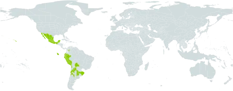 Lythrum maritimum world distribution map, present in Argentina, Bolivia (Plurinational State of), Brazil, Chile, Colombia, Ecuador, Mexico, Peru, Uruguay, United States of America, and Venezuela (Bolivarian Republic of)