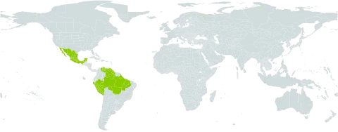 Machaerium inundatum world distribution map, present in American Samoa, Brazil, French Guiana, Guyana, Mexico, Peru, and Venezuela (Bolivarian Republic of)