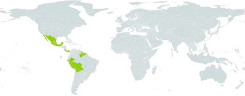 Machaerium kegelii world distribution map, present in American Samoa, Bolivia (Plurinational State of), Brazil, Costa Rica, Ghana, French Guiana, Guyana, Mexico, Panama, Peru, and Suriname