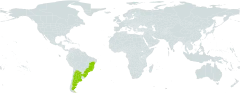Machaerium nyctitans world distribution map, present in Argentina and Brazil