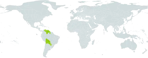 Machaonia brasiliensis world distribution map, present in Bolivia (Plurinational State of), Guyana, Paraguay, and Venezuela (Bolivarian Republic of)