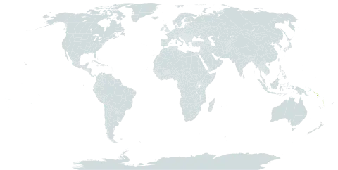 Macodes sanderiana world distribution map, present in Solomon Islands and Vanuatu