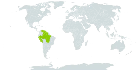 Macroclinium mirabile world distribution map, present in Brazil, Guyana, Peru, Suriname, and Venezuela (Bolivarian Republic of)